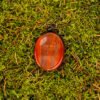 Red Jasper - Image 3