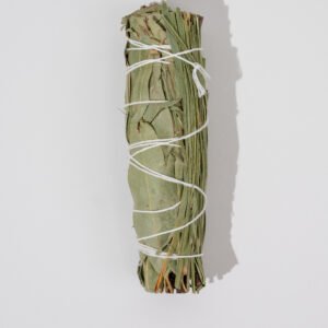 Eucalyptus smudge stick