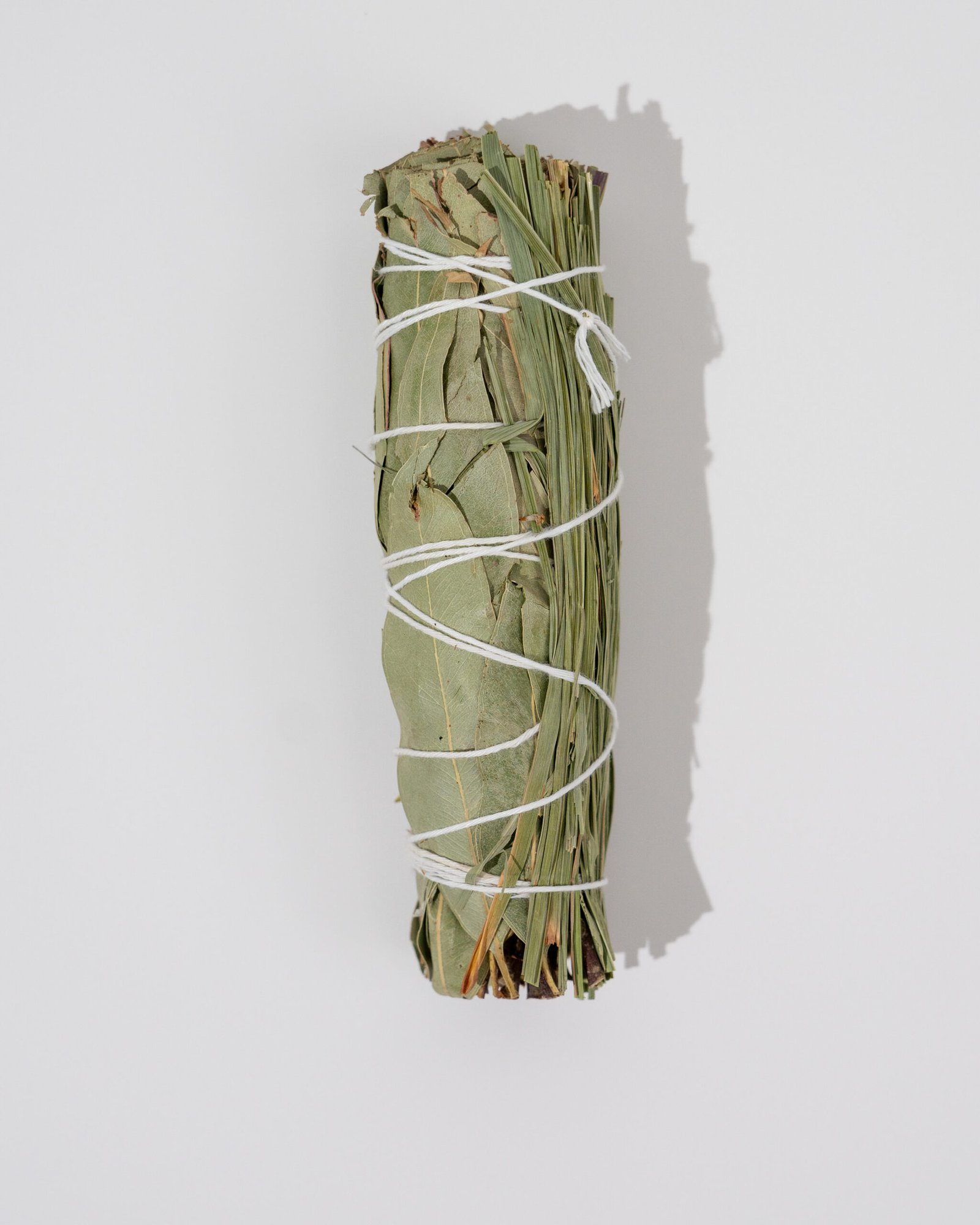 Eucalyptus smudge stick